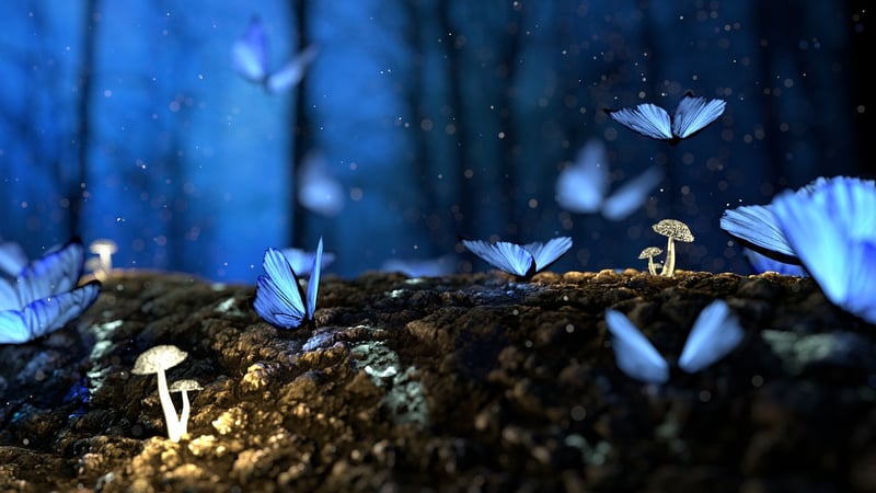 Magical Journeys